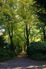 Herbst-Friedhof 003.jpg